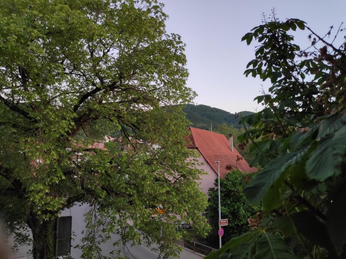 Ferienwohnungen Und Zimmer In Reutlingen-Goenningen Экстерьер фото