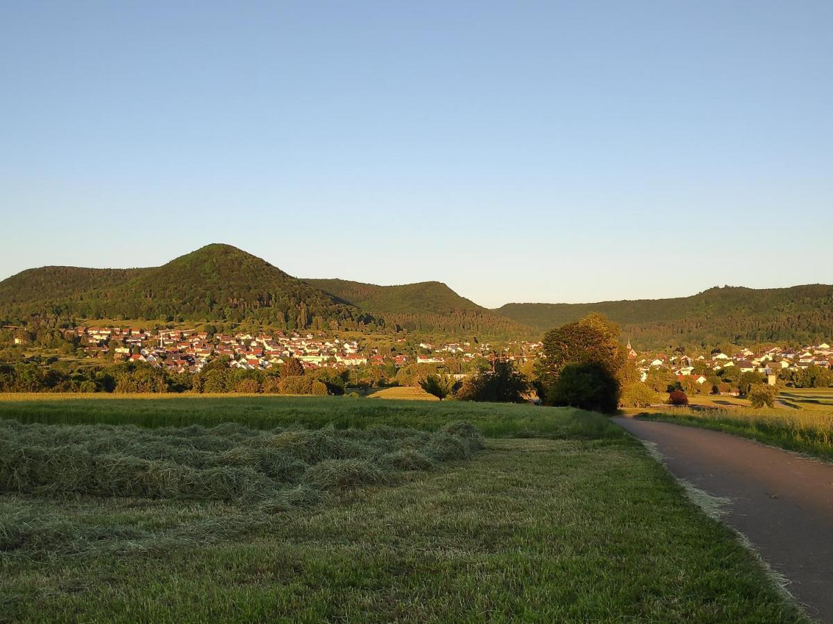 Ferienwohnungen Und Zimmer In Reutlingen-Goenningen Экстерьер фото